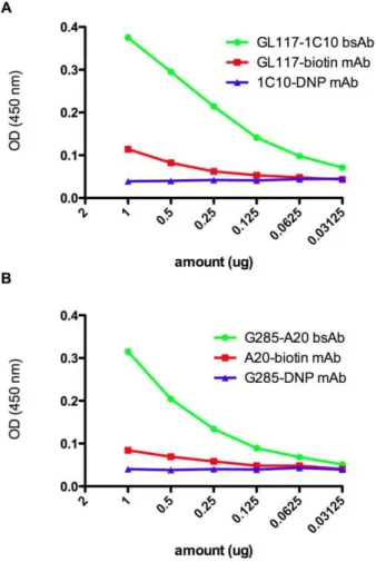 Figure 4. Verification of antigen recognition by same species bsAbs. Same species bsAb was detected using a sandwich ELISA specific for biotin or DNP