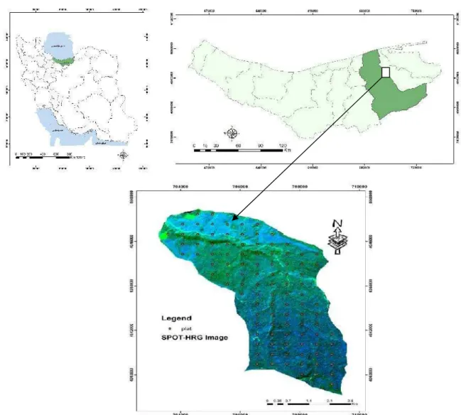 Figure 1. Location of the study area in the Mazandaran Province (a) and allocation of sample plots (b) in the study area.