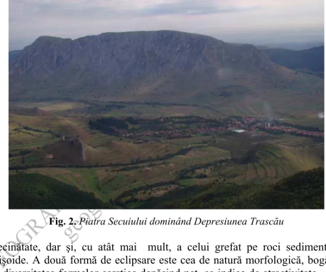 Fig. 2. Piatra Secuiului dominând Depresiunea Trascău 