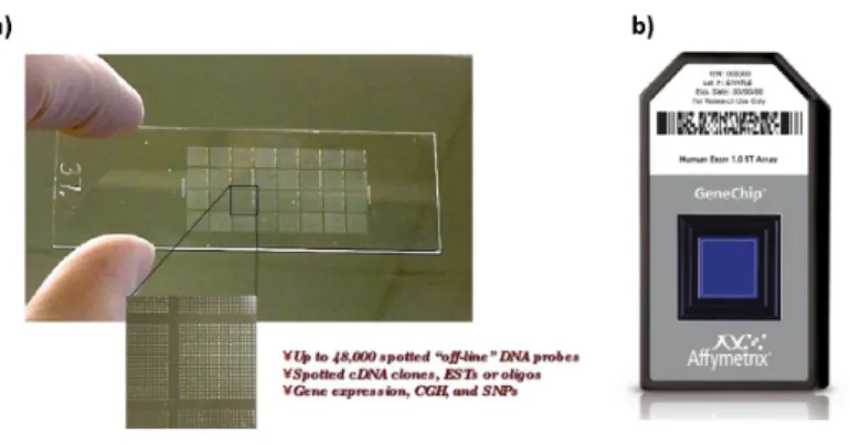 Figure 2.1: Physical structure of a microarray. a) Solid glass slide mi- mi-croarray prepared through Spotting (robotic printing)