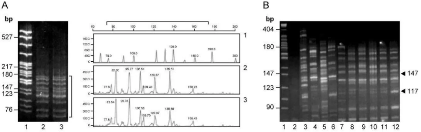 Fig 1: Reproducibility and Specificity of AFLP assays. AFLPs were obtained using the selective primers E42-T51
