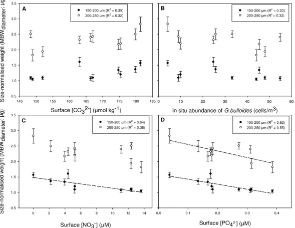 Fig. 3. SNWs of G. bulloides for 150–200 µg (filled symbols) and 200–250 µg (hollow sym- sym-bols) size fractions compared to: (A) [CO 2 3 − ], (B) in situ abundance of G