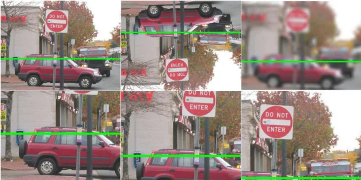 Figure 4. Examples of stimuli in the different conditions. : normal, inverted, blurred, lower subwindows, middle subwindow, upper subwindow; green bar is the expert estimate.
