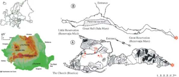 Fig. 1. Location map, plan view (A) and cross section (B) of Sc˘aris¸oara Ice Cave (modified from Rusu et al., 1970)