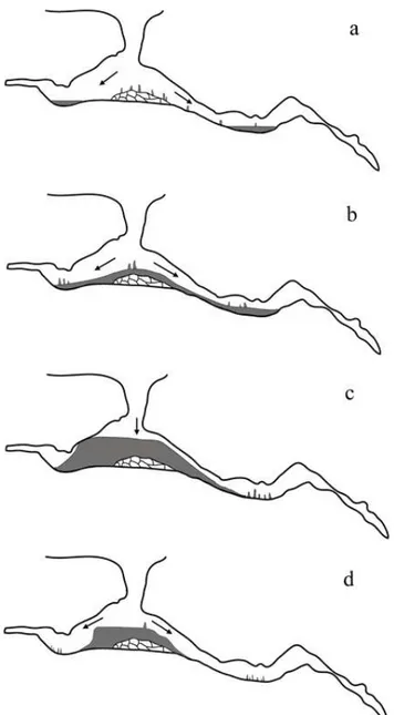 Fig. 6. A conceptual model of the genesis and long-term volume fluctuations of the ice block in Sc˘aris¸oara Ice Cave (see main text for details)