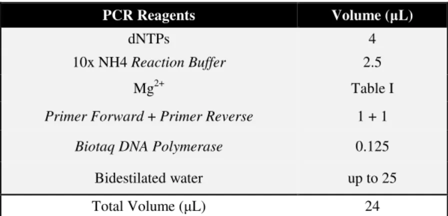 Table AIII – Reagents and conditions for RFLP reaction 
