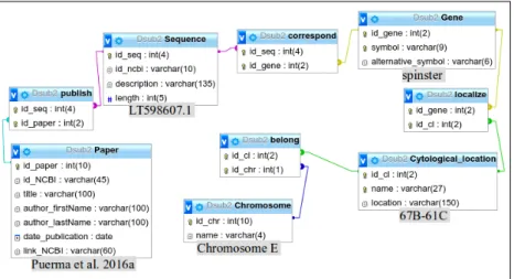 Figure 2.5 – Entity Relationship (ER) model of the DsubSeqLoc database constructed. Below each table, in gray, it is shown an example of information within the database