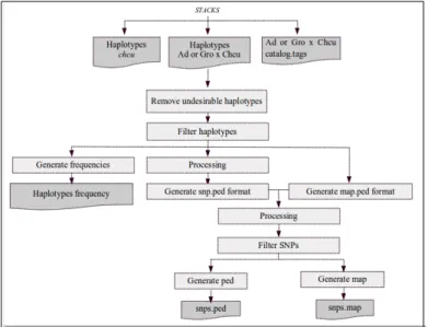 Figure 3.4 – Remove chcu haplotypes pipeline scheme.