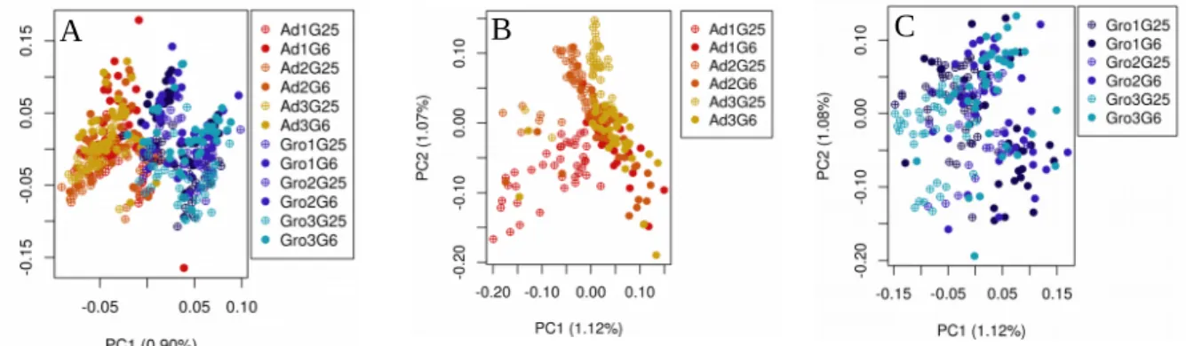 Figure 3.5 – Principal Component Analysis of SNP variation at the genome-wide level. A) for all SNPs, B) for SNPs in Ad and C) for SNPs in Gro