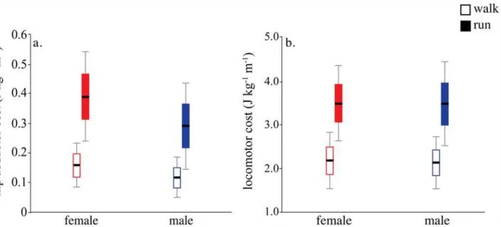 Fig 3. Metabolic cost of hip abductor activation and net locomotor cost in men and women