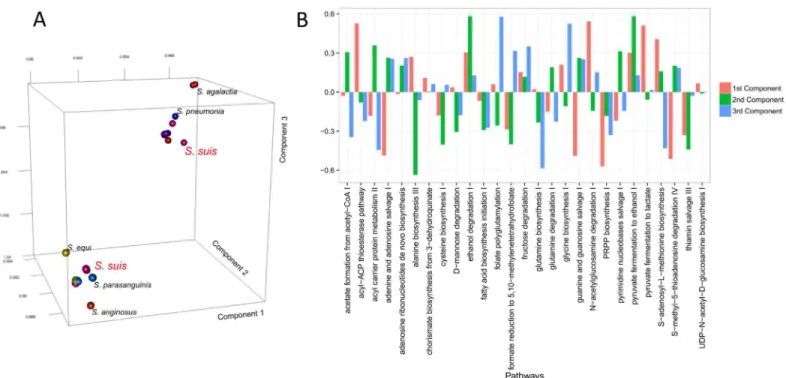 Fig 7. A) 3D score plot for the INDSCAL model on the (dis)similarity matrices of the 27 core metabolic pathways of the 121 Streptococcus strains