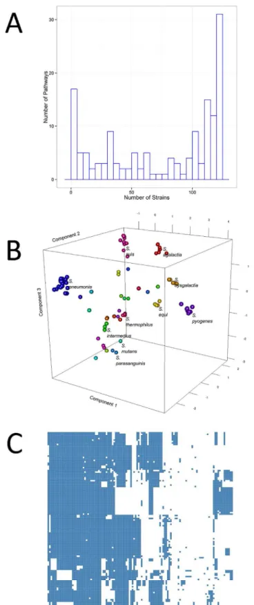 Fig 3. A) Distribution of functional pathways across different strains B) Score plot of principal component analysis performed on the metabolic diversity matrix