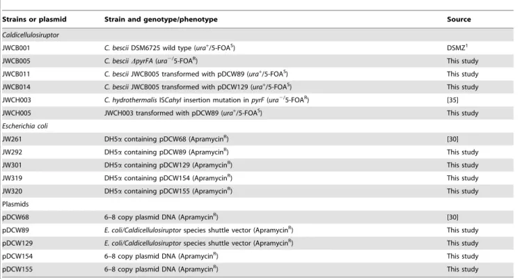 Table 1. Strains and plasmids used in this work.