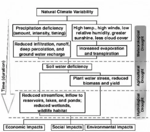 Figure 3: The sequence of drought impacts associated with meteorological, agricultural and  hydrological drought (Hisdal e Tallaksen, 2000