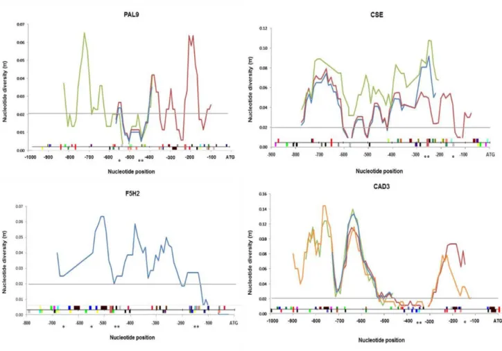 Fig.  3:  Species-level  nucleotide  diversity  profiles  of  the  promoter  regions  from  four  Eucalyptus  phenylpropanoid  metabolism  and  lignin  pathway  genes  in  nine  Eucalyptus  and  one  Corymbia  tree  species