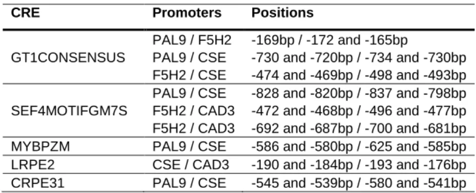 Table 5: Groups of promoters where CREs appear to be positionally conserved and respective position of  the occurrences 