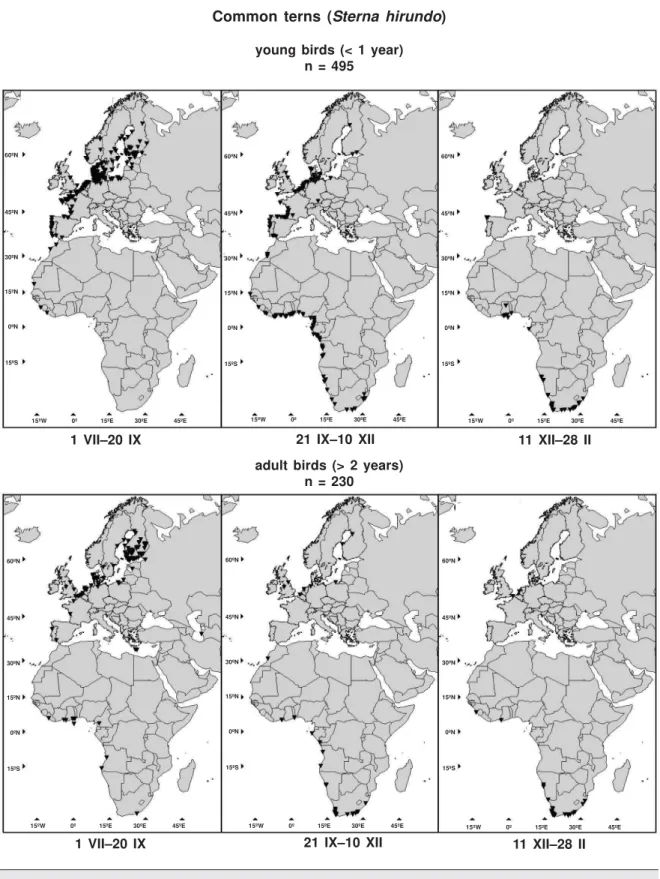 Fig. 2. Locations of recoveries in the period of 1 VII–28 II of Common terns Sterna hirundo ringed in Finland in 1930–2002