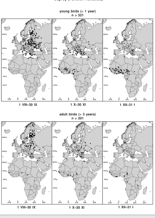 Fig. 3. Locations of recoveries in the period of 1 VIII–31 I of Ospreys Pandion haliaetus ringed in Finland in 1932–2002.