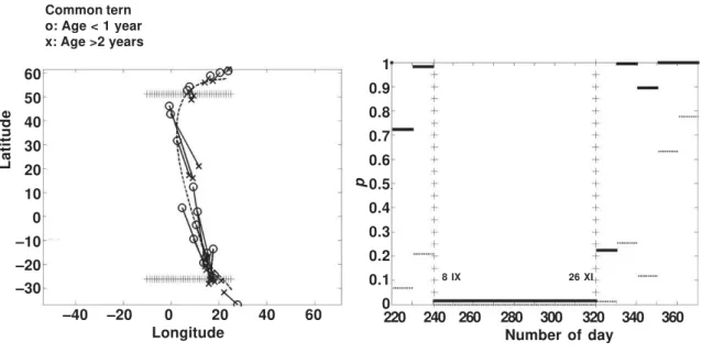 Fig. 6. Young and adult Common terns ringed in Finland start migration at the same time and follow the same geographical route