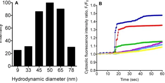 Figure 1. TiO 2 NP characterization and resultant [Ca 2+ ] C changes after NP treatment