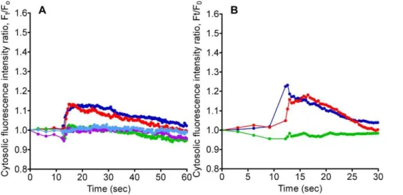 Figure 3. Measurement of [Ca 2+ ] C after stimulation by TiO 2 NPs. Cells were treated with TiO 2 NPs with concentrations ranging from 0.1 mg/ml –1 mg/ml, in the presence of A) thapsigargin (100 nM), and B) ryanodine (100 mM) (colors used are consistent wi
