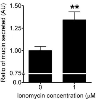 Figure 5. Mucin secretion in response to ionomycin application (positive control, n $ 3)