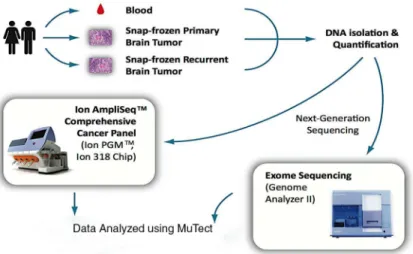 Fig 1. Overview of patient samples and sequencing methods. Sequencing for the AmpliSeq CCP samples was done using the Ion 318 Chip and whole exome sequencing was preformed using the Genome Analyzer II or HiSeq 2000, both from Illumina.
