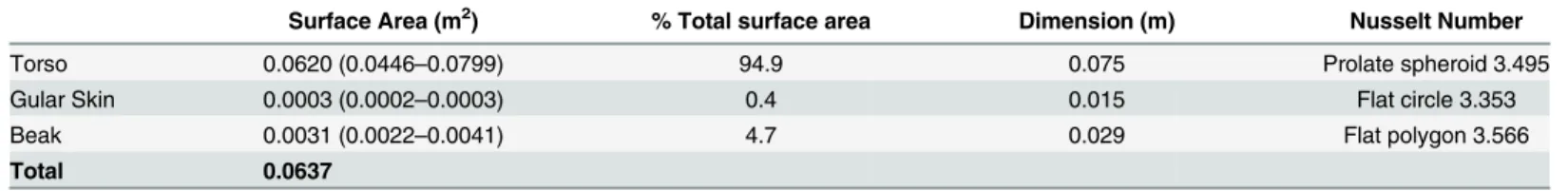 Table 1. Surface area, percentage of total surface area and characteristic dimensions for heat transfer calculated for Southern Yellow-billed Horn- Horn-bills ( Tockus leucomelas )
