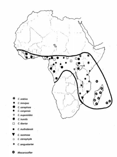 Figure 1 - The distribution of native species of Coffea spp. adapted from  Charrier &amp; Berthaud 1985