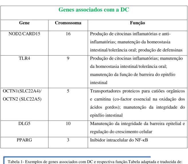Tabela 1- Exemplos de genes associados com DC e respectiva função.Tabela adaptada e traduzida de: 
