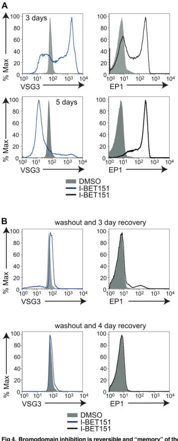 Fig 4. Bromodomain inhibition is reversible and “ memory ” of the active ES is retained