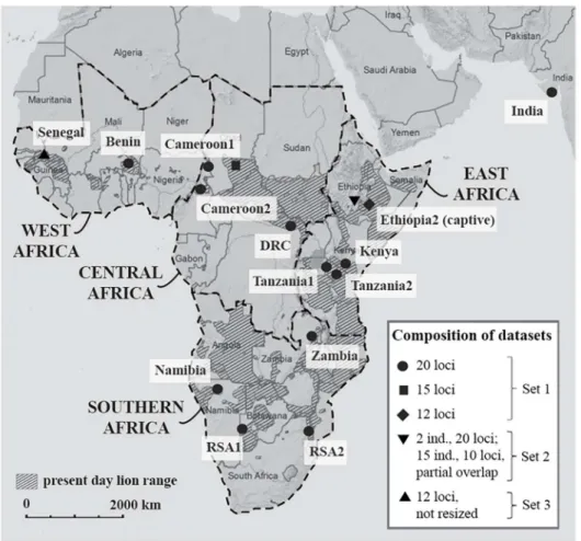 Fig 1. Map showing the location of the 16 lion populations included in the analysis. In the legend, the composition of the datasets and the number of included microsatellite loci is indicated