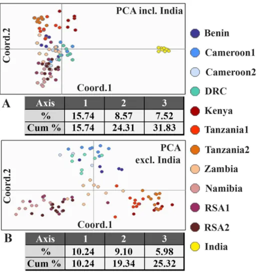 Fig 3. Results of PCA based on 20 microsatellite loci of lion populations. A: results of PCA of 12 populations (Dataset 1, excluding Chad and Ethiopia2), shown in a two-dimensional plot and a table indicating the percentage and the cumulative percentage ex