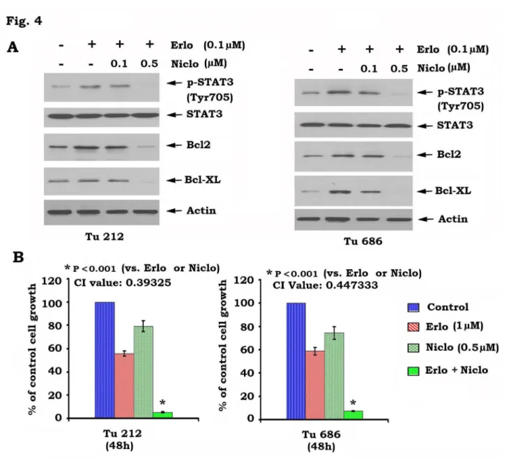 Figure 4.  Inhibition of STAT3 by niclosamide blocks erlotinib-induced STAT3 phosphorylation and sensitizes head and neck cancer cells to erlotinib