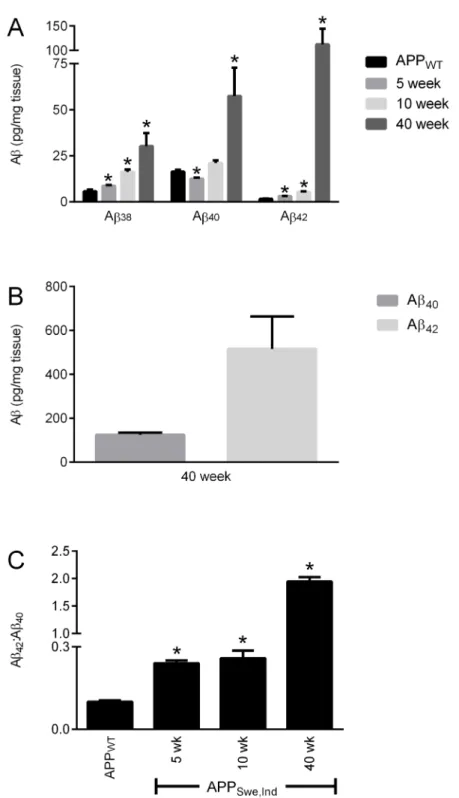 Fig 4. Comparison of Aβ levels in APP WT and APP Swe.Ind mice. Brain hemispheres from 75 week old APP WT /PrP +/+ and from 5, 10 and 40 week old APP Swe,Ind /PrP +/+ mice were subjected to two-step homogenisation