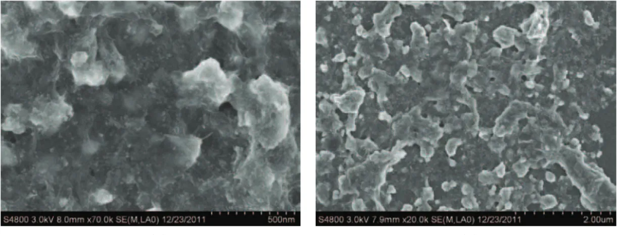 Figure 2 shows CVs of electrochemical poly- poly-merization of taurine on the TiO 2 -Gr/GCE