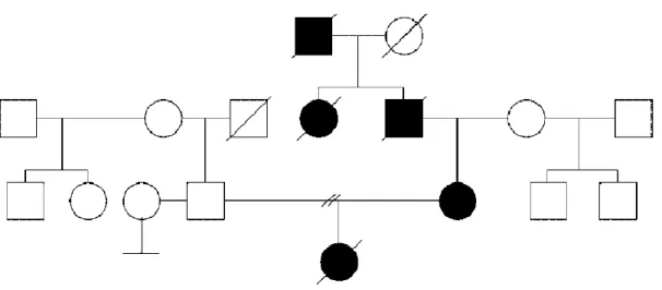 Figura 1- Exemplo de árvore genealógica de uma família com Doença de Huntington 29
