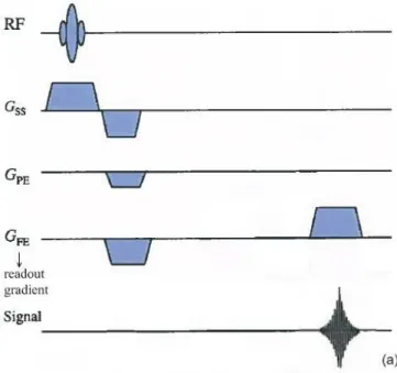 Figure  1.11  –  Spin-echo  (SE)  imaging  sequence.  The  frequency  encoding  gradient  is  applied  during  the  signal  reading  stage, and is therefore called ‘readout gradient’