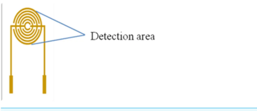 Figure 1 Detection area (droplets area) of the electrode.