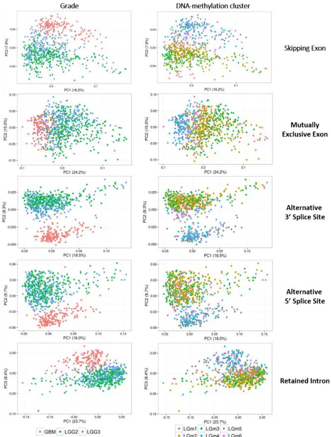 Figure 3.7 – Principal Component Analysis scatter plots of PSIs of the alternative splicing event types measured in glioma