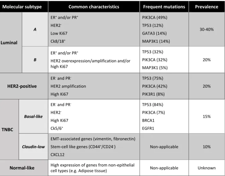 Table 1 – Molecular classification of breast cancer subtypes.  