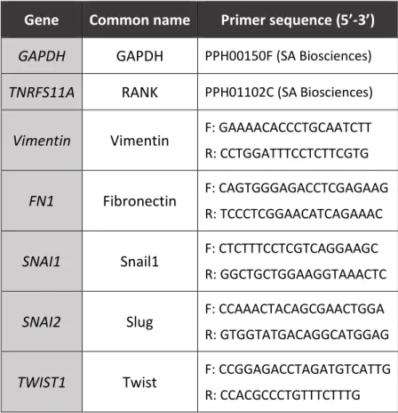 Table 2 – List of primers used in qPCR. 