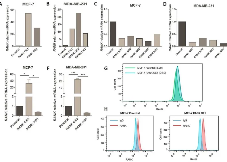 Figure 6 - RANK stable activation and knockdown by lentiviral transduction. 