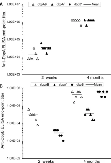 Figure 4. Anti-DbpA and -DbpB humoral responses were induced during acute and chronic infection
