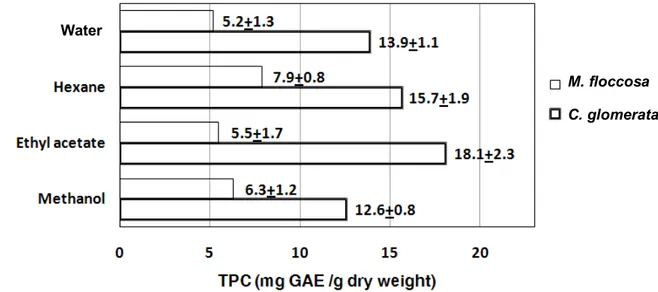 Figure  2. TPC of  C. glomerata  and  M. floccosa  extracts. The data are based on duplicates from  three distinct areas of the Nan River