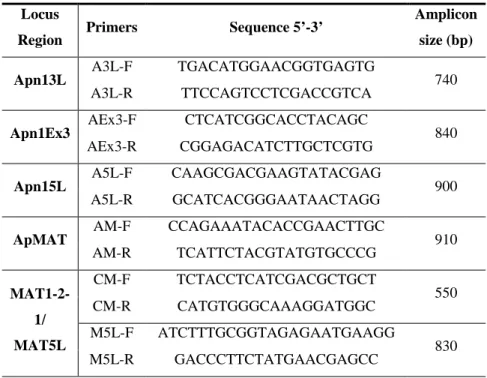 Table 2 Primer pairs used to amplify the Apn1/MAT locus, according to Fig. 1 