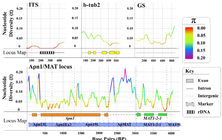 Fig. 2 Sliding window analysis of the nucleotide diversity (π) estimated from the molecular markers used, based on a  10 isolates representative sample