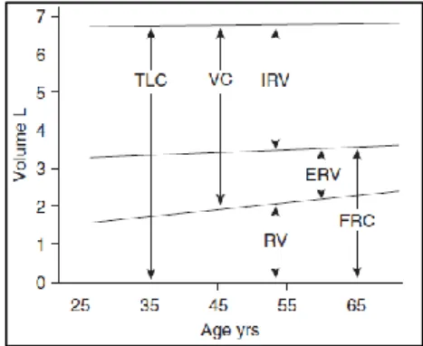 Figura 2 Evolução dos volumes  pulmonares com o envelhecimento  (22).