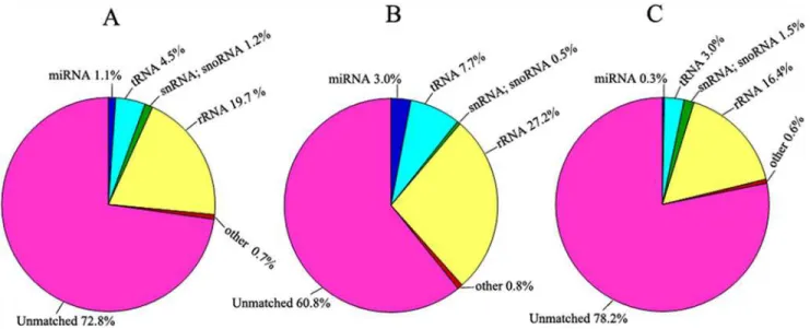Fig 1. Distribution of small RNAs among different categories. (A) Total small RNAs from the libraries of F 1 hybrids and their parents (N8 and II469)
