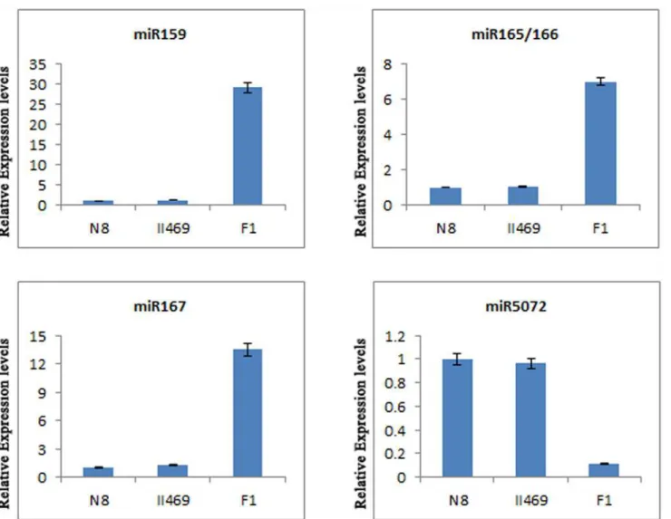 Fig 4. The expression levels of miR159, miR165/166, miR167 and miR5072. The expression levels were assayed by qRT-PCR